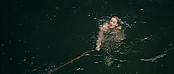 theriverwhy01368.jpg