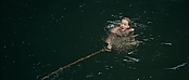 theriverwhy01372.jpg