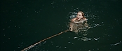 theriverwhy01374.jpg