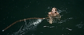 theriverwhy01379.jpg