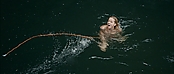 theriverwhy01381.jpg
