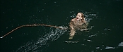 theriverwhy01383.jpg