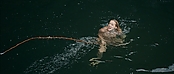 theriverwhy01385.jpg