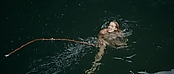 theriverwhy01387.jpg