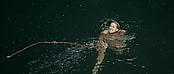 theriverwhy01389.jpg