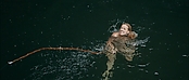 theriverwhy01390.jpg