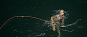 theriverwhy01399.jpg