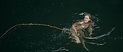 theriverwhy01401.jpg