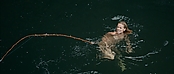 theriverwhy01404.jpg