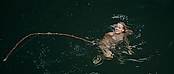 theriverwhy01406.jpg
