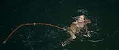 theriverwhy01407.jpg