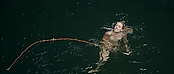 theriverwhy01409.jpg