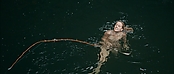 theriverwhy01410.jpg