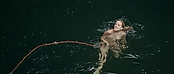theriverwhy01412.jpg