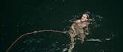 theriverwhy01414.jpg