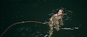 theriverwhy01415.jpg