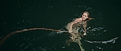 theriverwhy01421.jpg