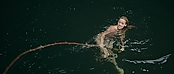 theriverwhy01422.jpg
