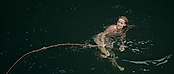 theriverwhy01423.jpg