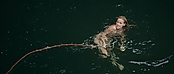 theriverwhy01424.jpg