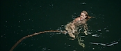 theriverwhy01425.jpg