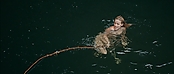 theriverwhy01427.jpg