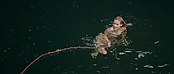 theriverwhy01428.jpg