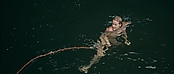 theriverwhy01432.jpg