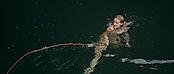 theriverwhy01435.jpg