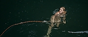 theriverwhy01438.jpg