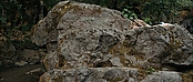 theriverwhy01616.jpg