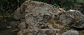 theriverwhy01618.jpg