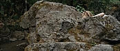 theriverwhy01620.jpg