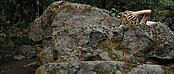 theriverwhy01626.jpg