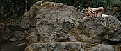 theriverwhy01628.jpg