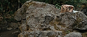 theriverwhy01630.jpg
