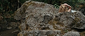 theriverwhy01631.jpg