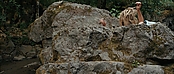theriverwhy01633.jpg