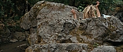 theriverwhy01634.jpg
