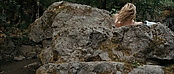 theriverwhy01637.jpg