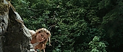 theriverwhy01691.jpg