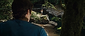 theriverwhy02173.jpg