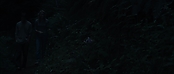 theriverwhy09229.jpg
