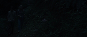 theriverwhy09230.jpg