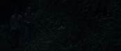 theriverwhy09231.jpg