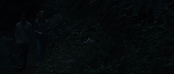theriverwhy09233.jpg