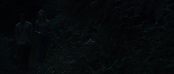theriverwhy09240.jpg