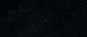 theriverwhy09241.jpg