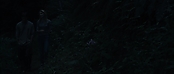 theriverwhy09246.jpg