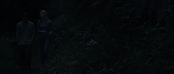 theriverwhy09248.jpg